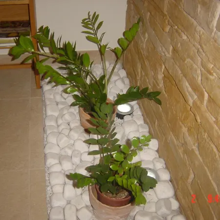 Vrdjan Appartamento Cerknica