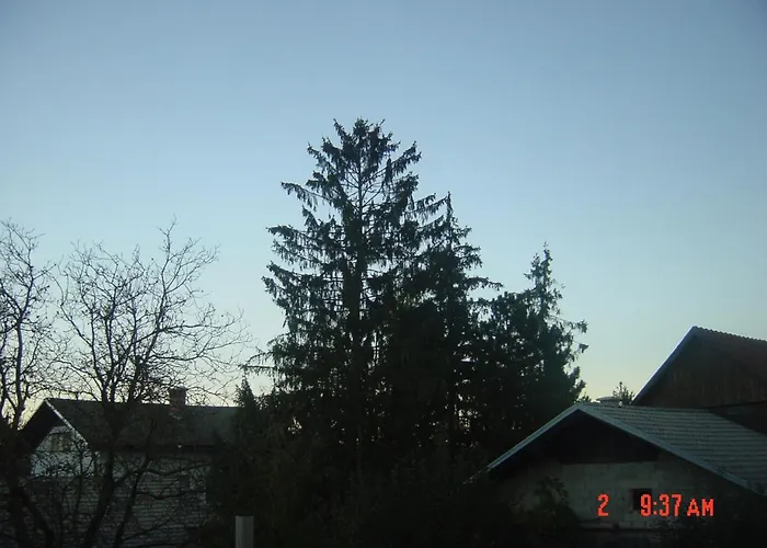 Vrdjan ツェルクニツァ