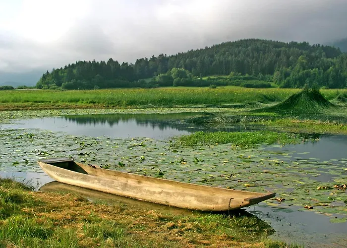 アパート Vrdjan ツェルクニツァ