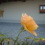 Vrdjan Apartamento