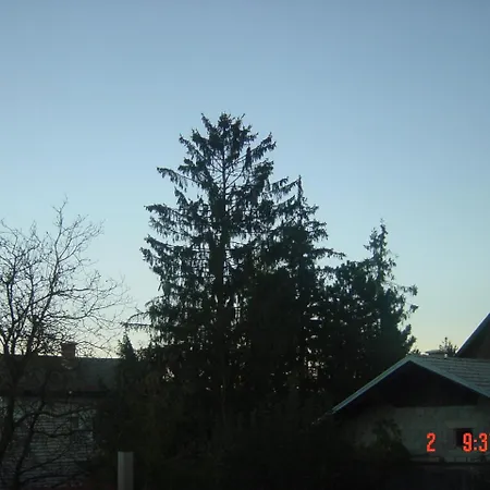 Vrdjan Cerknica