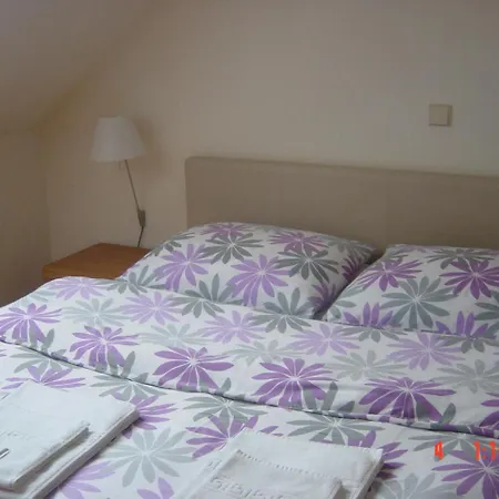 Apartment Vrdjan
