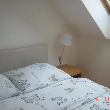 Vrdjan Apartment Cerknica