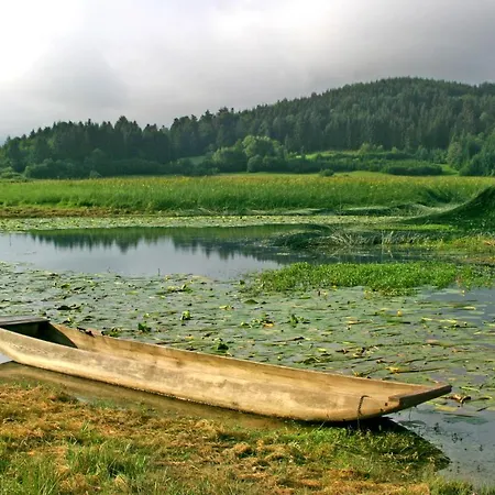 Apartment Vrdjan Cerknica