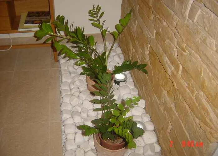 Vrdjan Apartma Cerknica