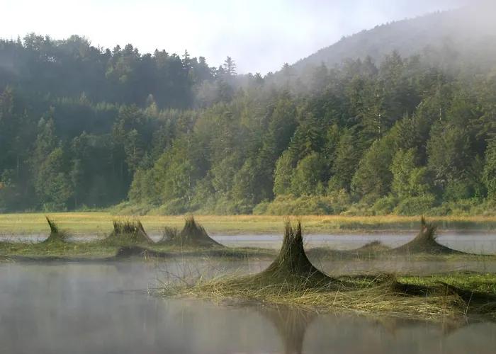 Apartma Vrdjan Cerknica